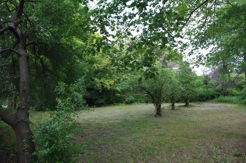 Chateau Le Vergel Authenac Ginestas Стая снимка