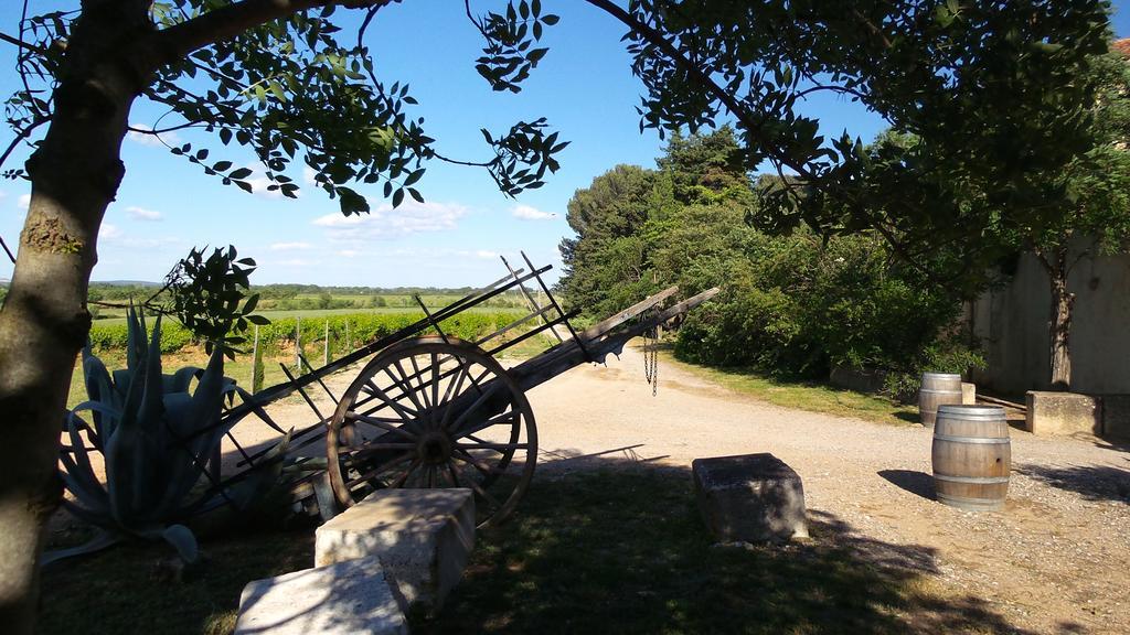 Chateau Le Vergel Authenac Ginestas Стая снимка