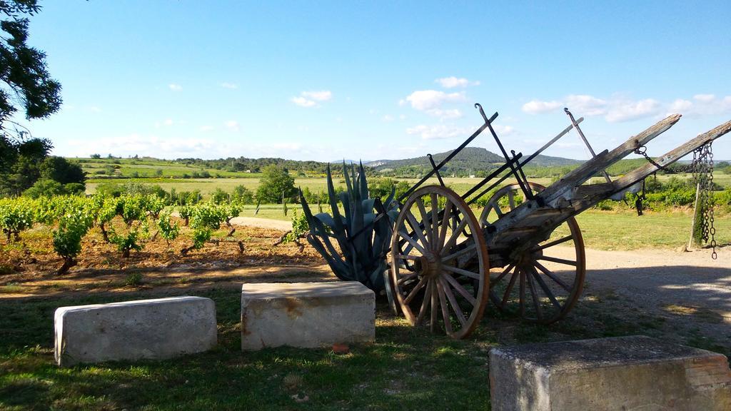 Chateau Le Vergel Authenac Ginestas Стая снимка