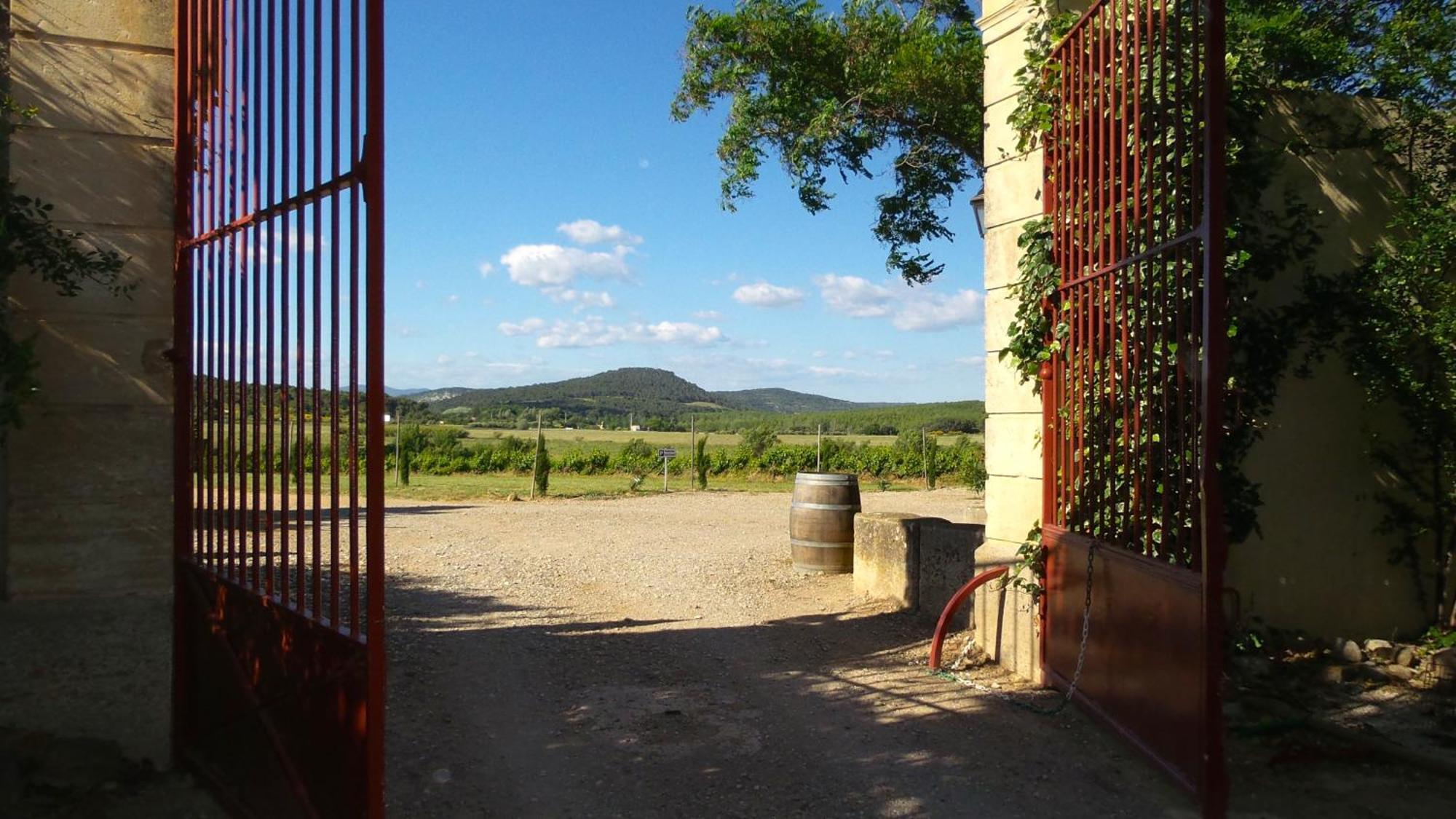 Chateau Le Vergel Authenac Ginestas Стая снимка