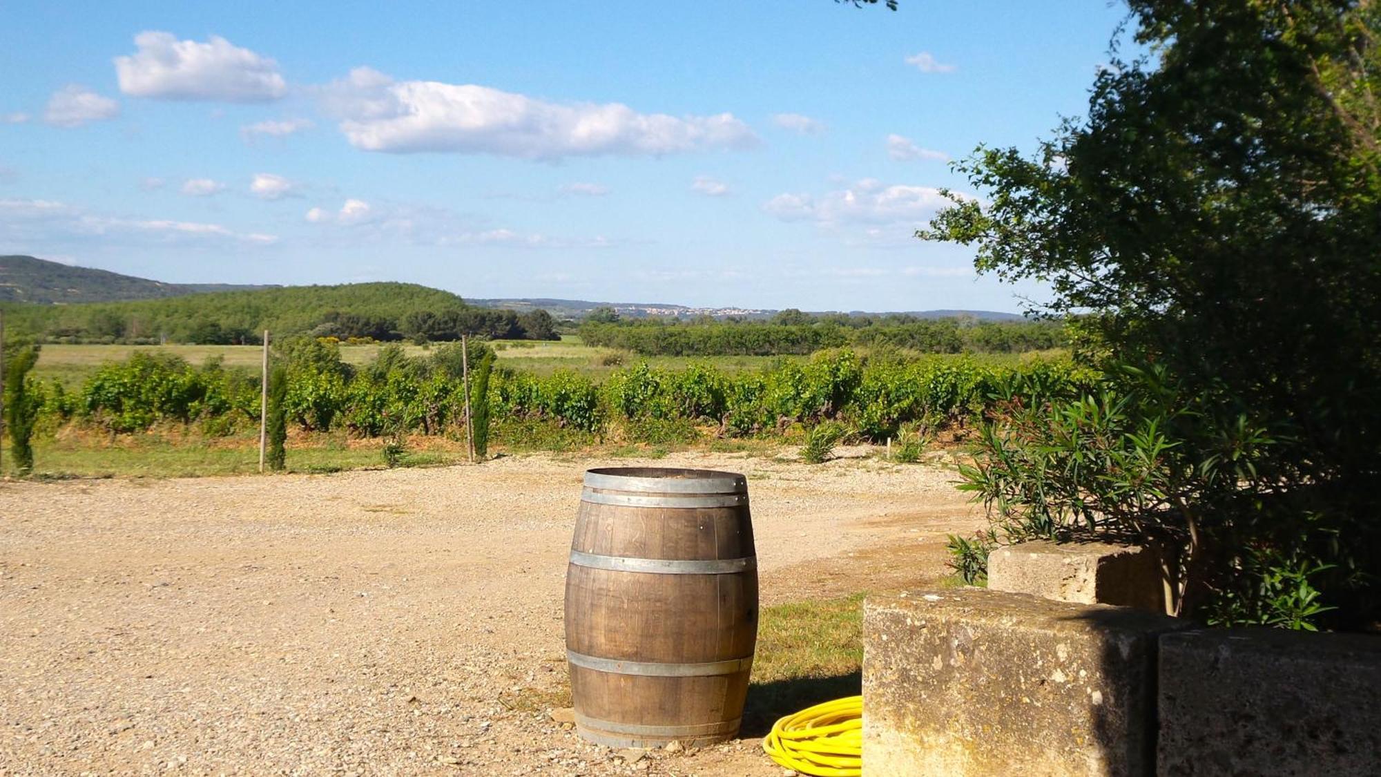 Chateau Le Vergel Authenac Ginestas Стая снимка